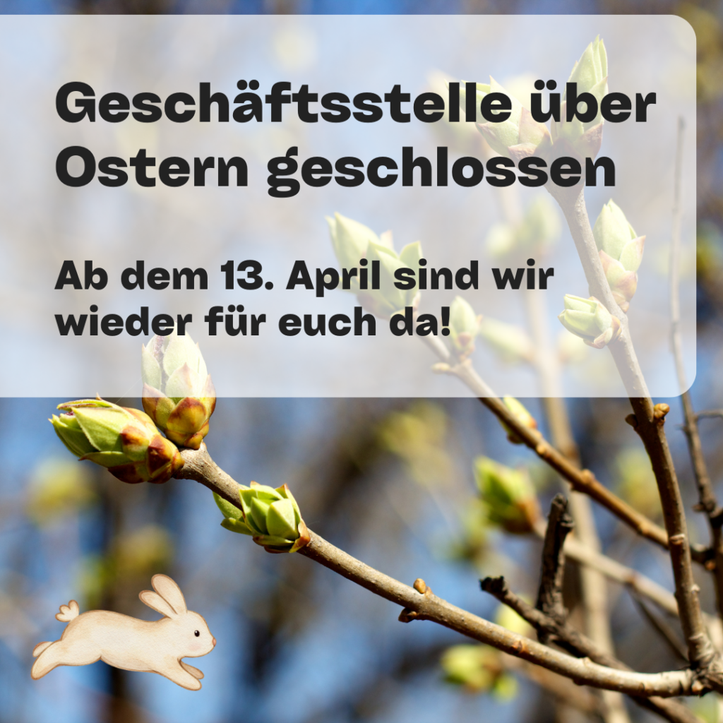 Blühender Baum im Hintergrund, im Vordergrund steht